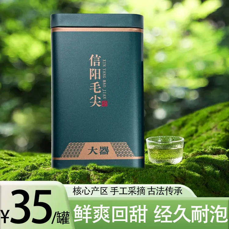  2025新茶信阳毛尖谷雨时节大叶口粮茶茶叶