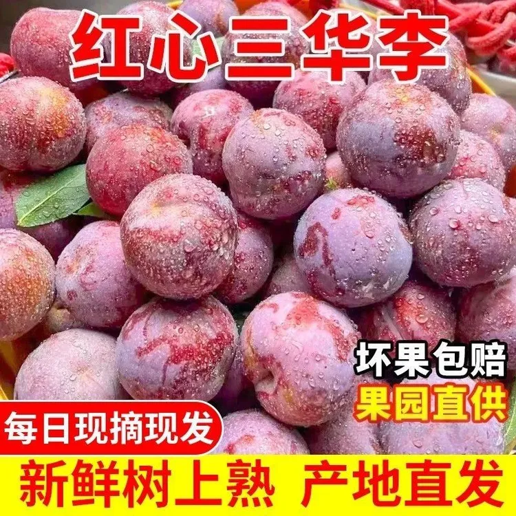 永州正宗红心三华李新鲜采摘酸甜脆口当季水果