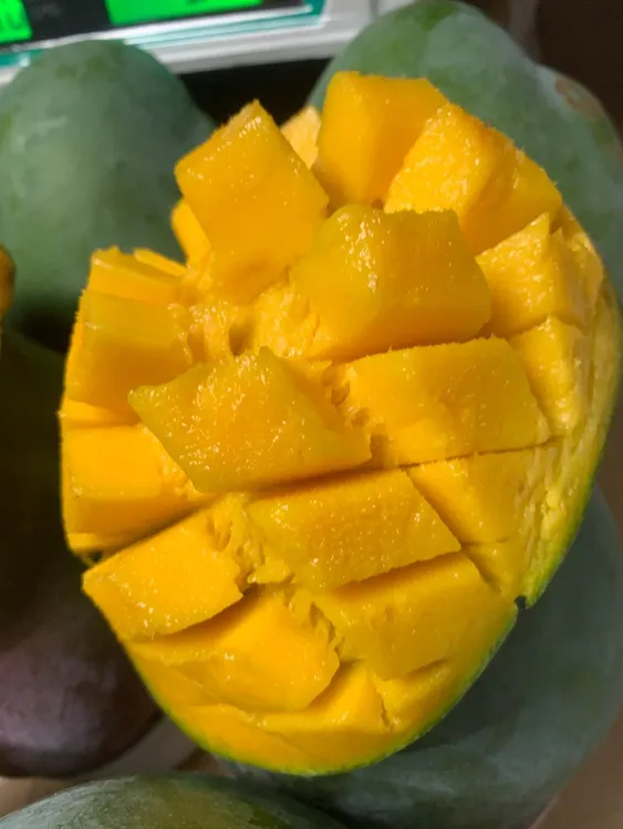 云南丽江9斤装凯特芒