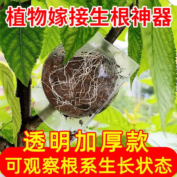 植物高压繁殖嫁接盒扦插枝繁殖球花卉果树控根神器生根育苗繁殖器