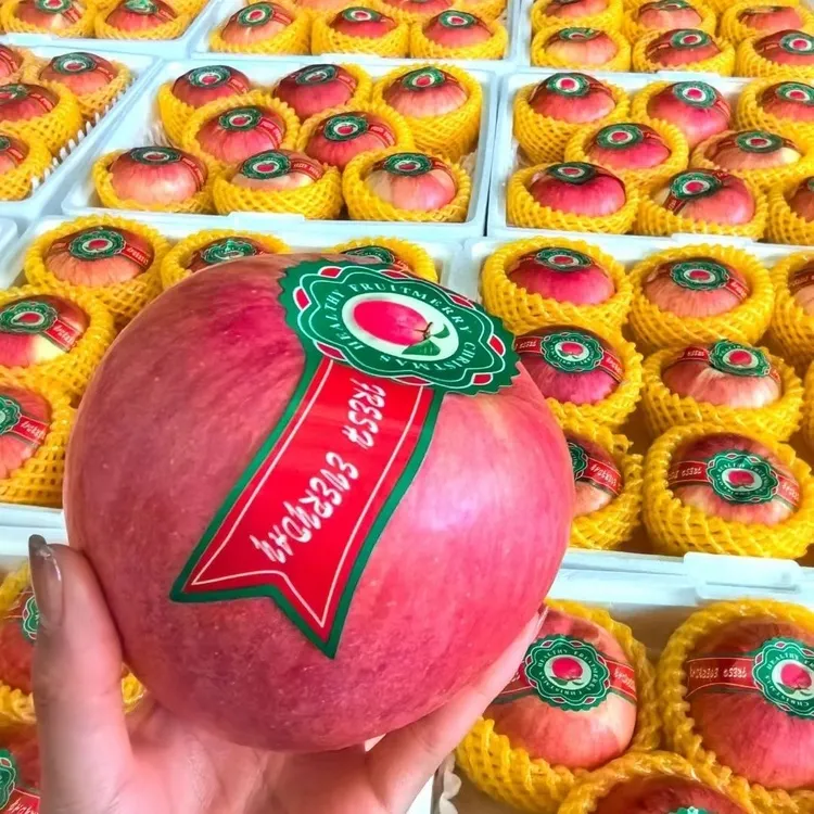 苹果圣诞苹果平安果红苹果脆甜多汁高档礼盒送礼佳品苹果圣诞