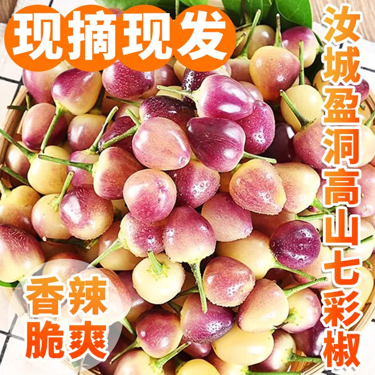 正宗汝城盈洞高山七彩椒新鲜现摘现发可腌制泡椒香辣脆爽