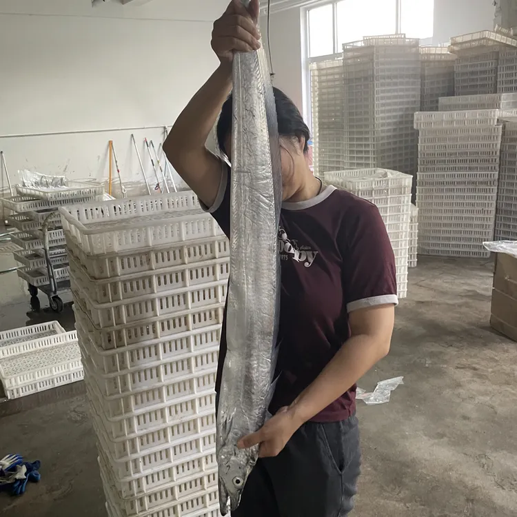 冷水小眼睛油带鱼新鲜速冻超大号整条深海带鱼可蒸可煮4斤4条发货