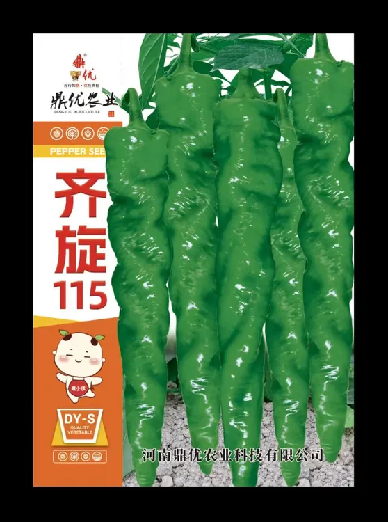 齐璇115 1000粒装 全麻面大果绿皮陇椒