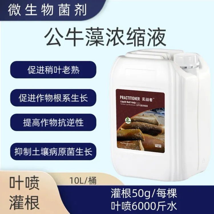 实战者藻力健公牛藻浓缩液转绿生根