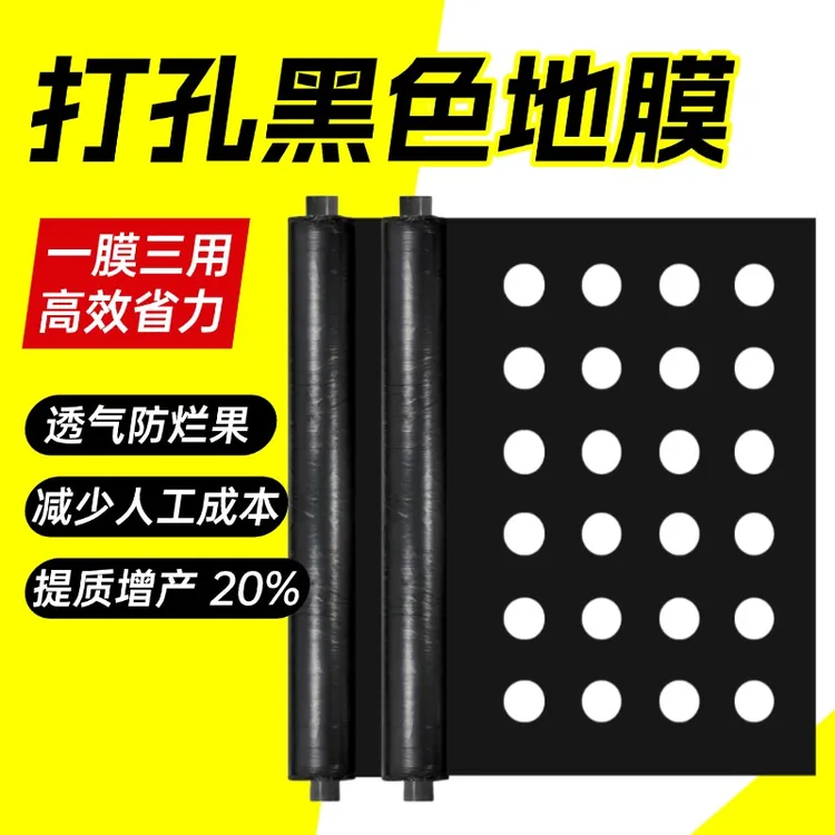 打孔开孔黑地膜银黑膜农用加厚种植除草羊肚菌蔬菜草莓专用带孔膜