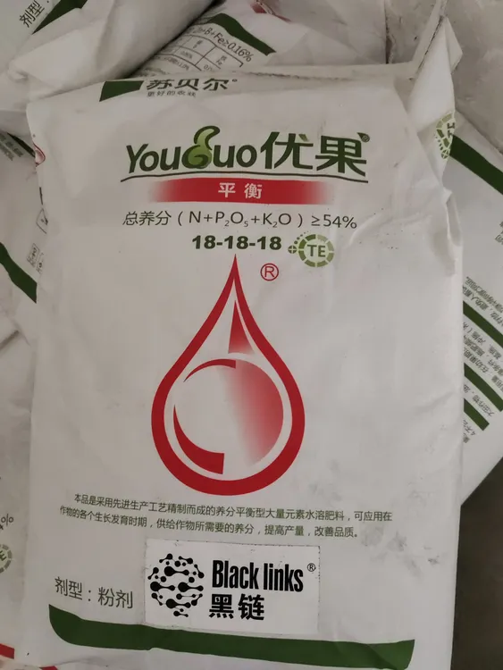 苏贝尔优果大量元素水溶叶片浓绿肥厚茎秆粗壮大姜长得胖耐储存
