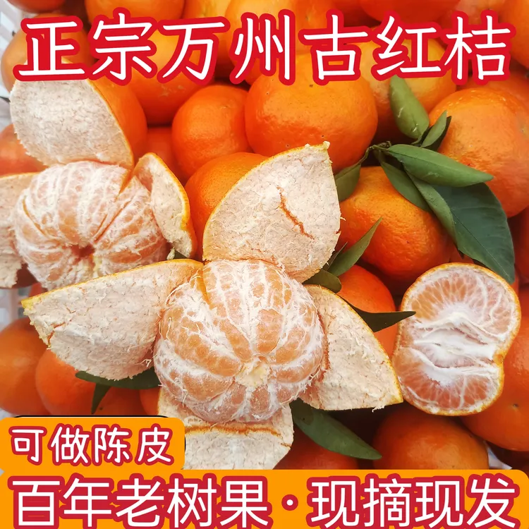 正宗万州古红橘四川大红袍川红橘当季新鲜水果古红桔薄皮陈皮原料