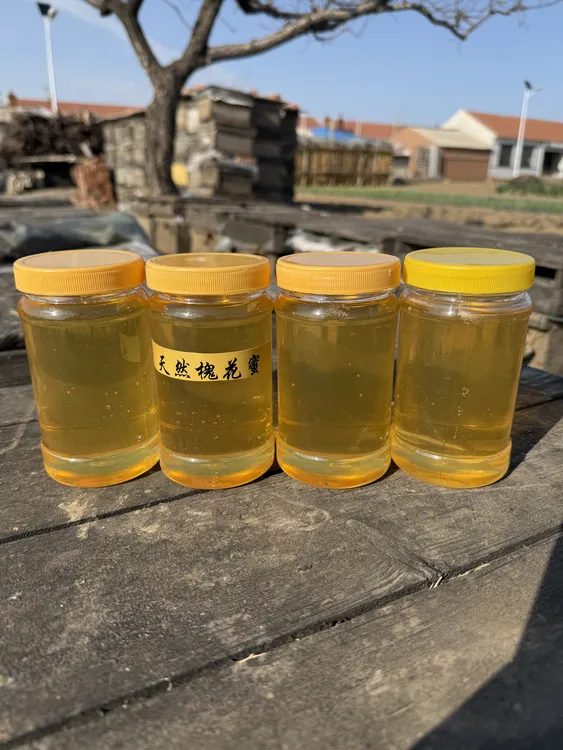 王丽云天然槐花蜂蜜家族养蜂50年   拍一发四