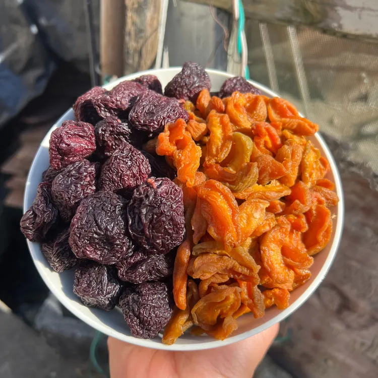 【杏干李子干组合】农家杏干红无核吊干果解馋零食永泰芙蓉李干