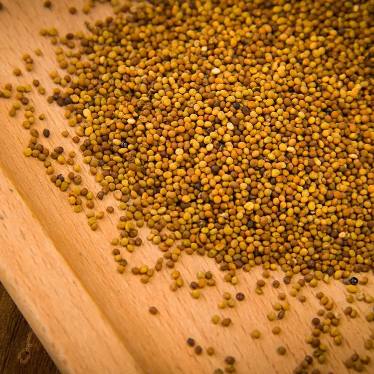 【净重发货】内蒙菟丝子吐丝子小丝子籽茶水洗小粒泡水泡酒搭配枸杞