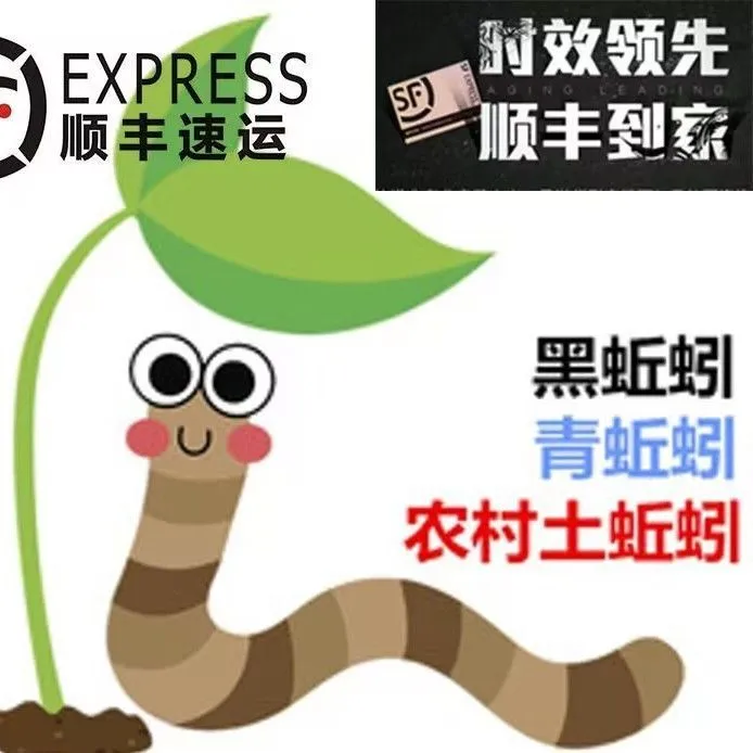 户外青蚯蚓下地笼黄鳝