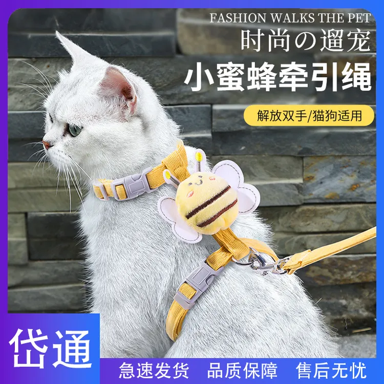 岱通-小蜜蜂猫咪牵引绳防挣脱外出宠物背心式遛猫链子