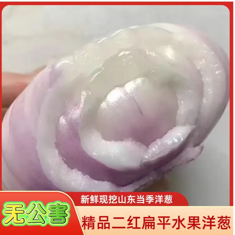 （精品无公害）山东扁平水果洋葱生吃微甜微辣农家种植家庭装5斤