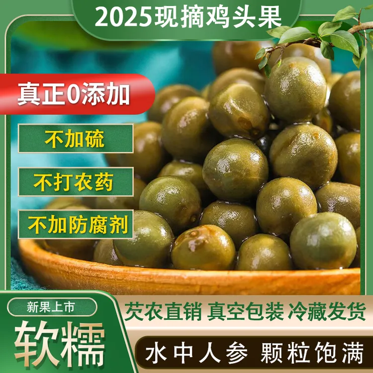 甄大宝【2025年新果】新鲜芡实淮滨鸡头米自家种植中果10-12毫米