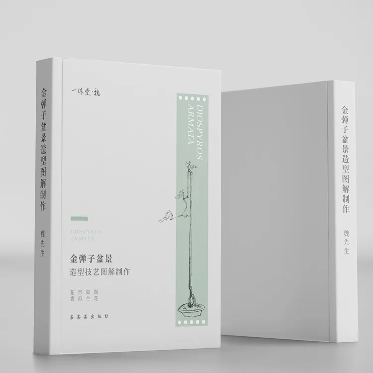 金弹子造型技艺图解制作+盆景书籍盆景制作盆景造型