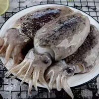 大连发货  野生墨鱼乌鱼蛋（顺丰包邮）