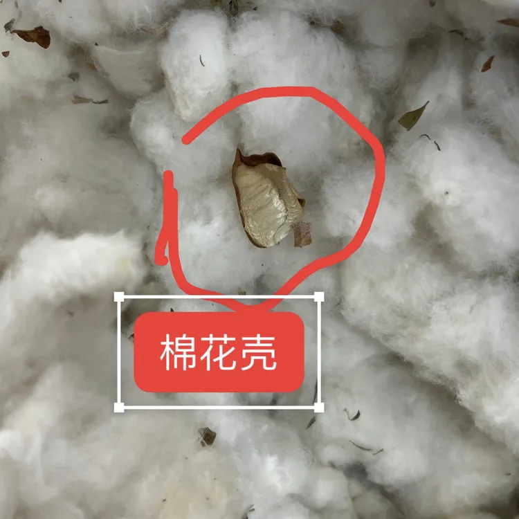 新疆棉花结婚有籽有壳的人工手采棉花纯天然无添加乌鲁木齐直发