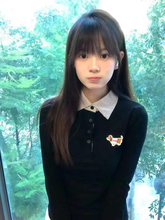 韩系学院风刺绣小狗Polo领长袖T恤女2025秋冬季设计感百搭ins上衣