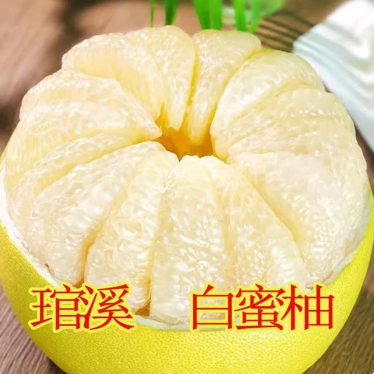 【老树果-当季白心柚】高山农家种植白心蜜柚现摘水果柚子鲜嫩多汁商品图