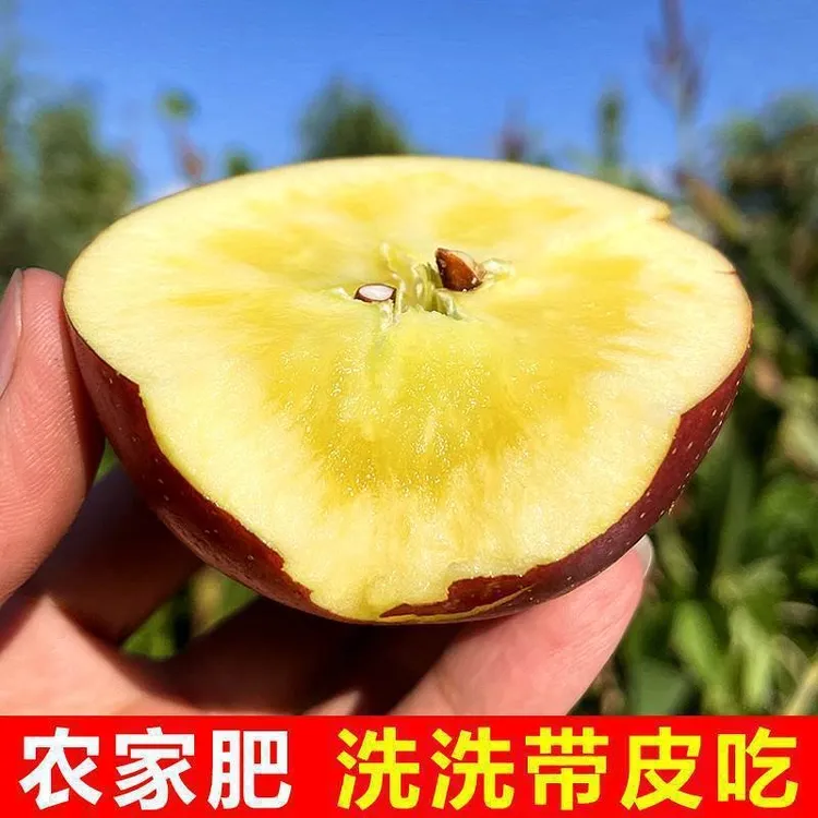 【顺丰包邮】正宗四川大凉山红将军丑苹果现摘现发脆甜多汁