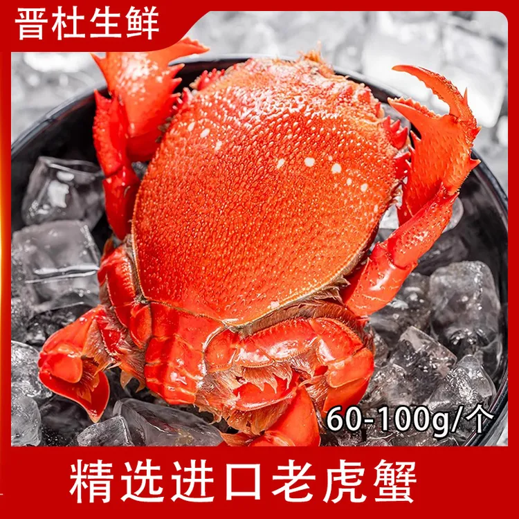 [非活蟹]泰国进口海捕老虎蟹虎头蟹贵妃蟹旭蟹火锅食材顺丰冷链