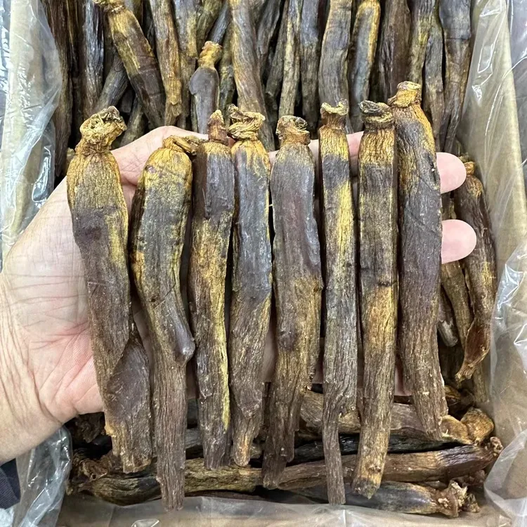 【参海1】沉香 奇形高丽参  收藏