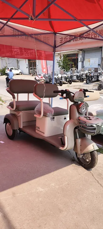 女士客货两用休闲电三轮