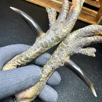 文玩鸡爪骨手把件（一对 处理好十天左右发货）1