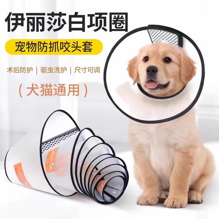 伊丽莎白圈宠物头套狗圈猫圈狗脖套宠物防咬打针圈皮肤病耻辱头罩