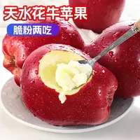 甘肃天水花牛苹果当季新鲜水果脆粉两吃红蛇果老人宝宝辅食果园