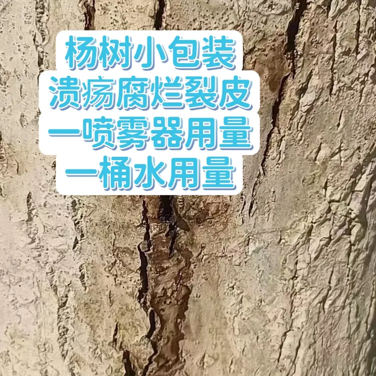杨树小包装溃疡腐烂套餐绿叶神