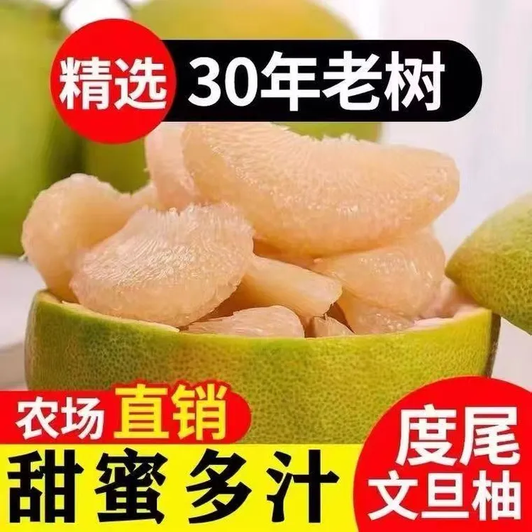 微瑕果福建度尾文旦柚白心蜜柚应季新鲜水果孕妇薄皮白肉柚批发