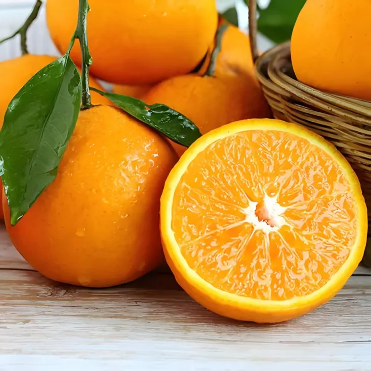 四川青见果冻橙新鲜采摘