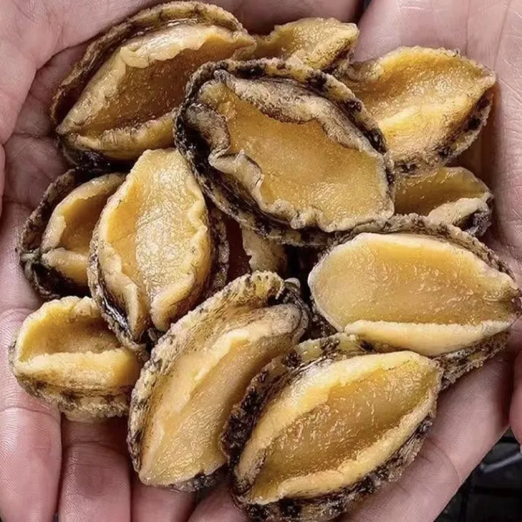 （渔诺2）新鲜速冻5 - 6厘米鲍鱼肉去壳去内脏1包到手30只