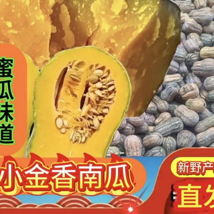 新鲜金香南瓜营养宝宝辅食软糯香甜农家自种