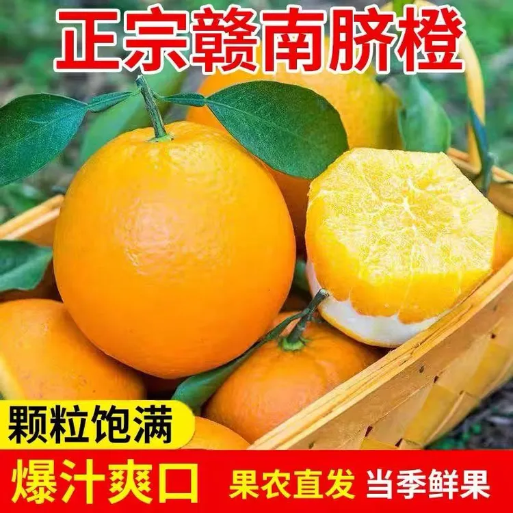 现摘正宗赣南脐橙新鲜应季水果产地直发好吃大果