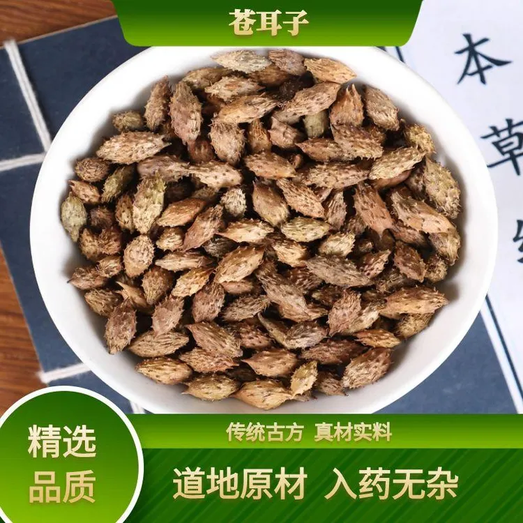 中药材野生苍耳子去刺新货老籽仓耳子去刺外用农产品泡茶煮水苍耳