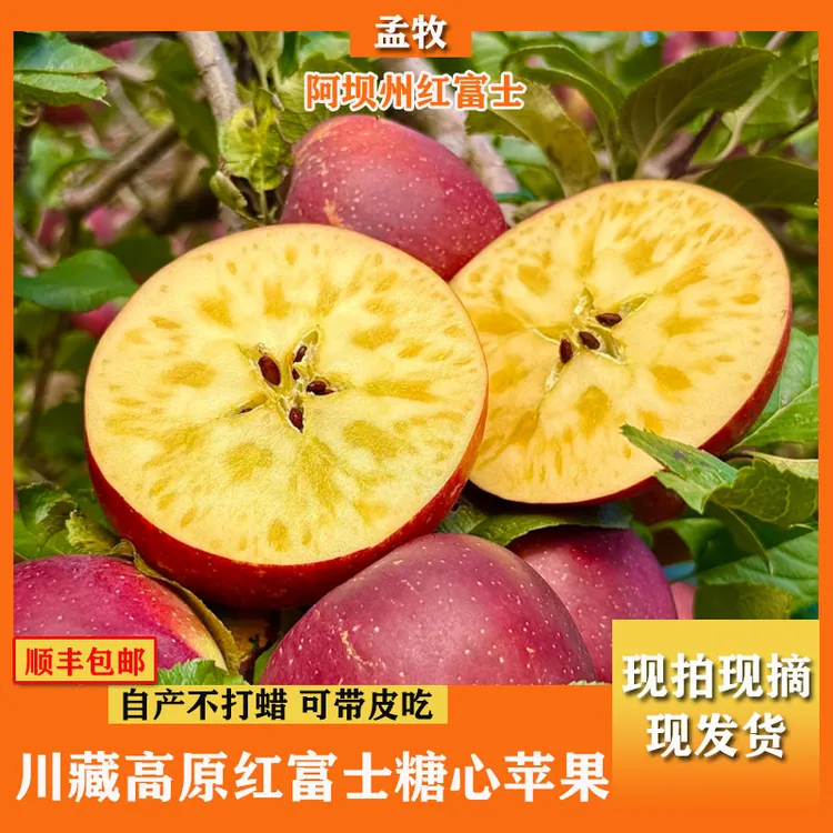 【川西糖心苹果】阿坝州高原现摘红富士糖心苹果坏果包赔顺丰包邮