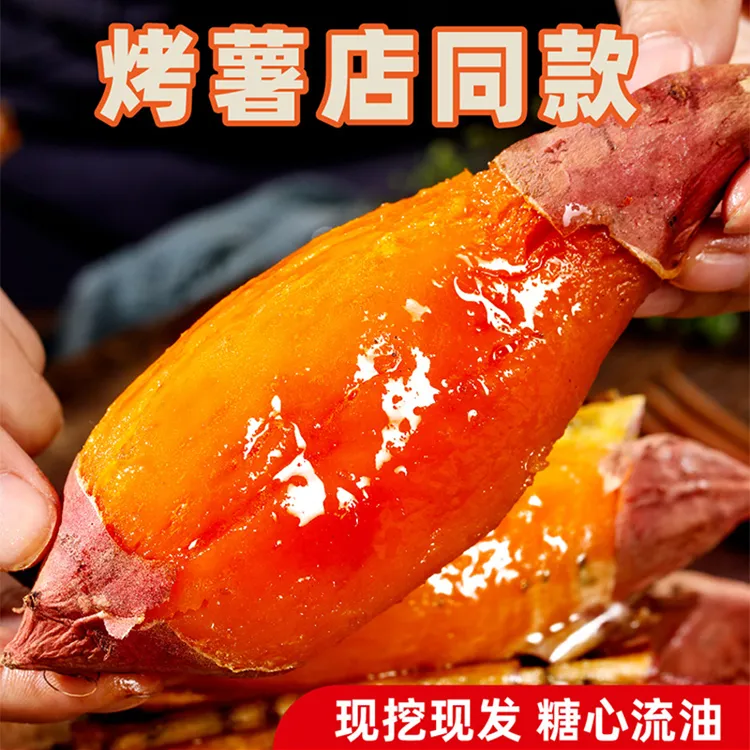 【净重5斤】烟薯25号蜜薯糖心红薯新鲜地瓜现挖沙地番薯山芋红薯