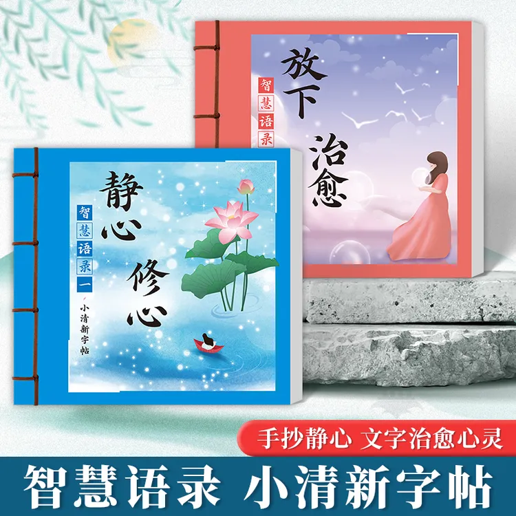 智慧语录系列静心修身养性成人正能量励志手写临摹楷书手抄练字帖商品图