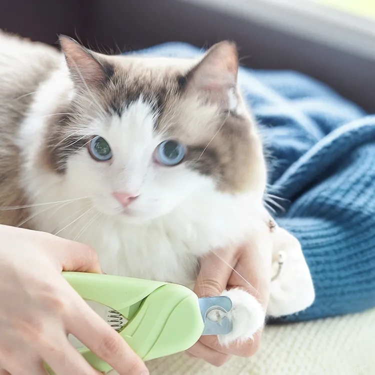 跨境宠物猫咪指甲剪狗狗用品美容护理指甲剪刀不绣钢刀头修甲器