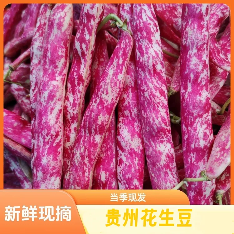 贵州高山农家花生豆酸菜豆米云豆花生豆雀蛋豆2025新花豆