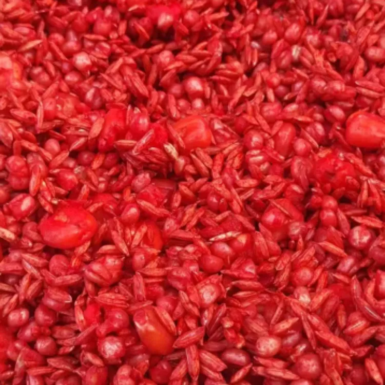 张氏谷麦红虫发酵干辣椒窝料饵料主攻鲤鱼草鱼野钓活饵