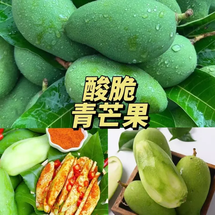 现摘酸芒果酸脆小青芒送辣椒面象牙芒新鲜水果生芒果生广西酸嘢