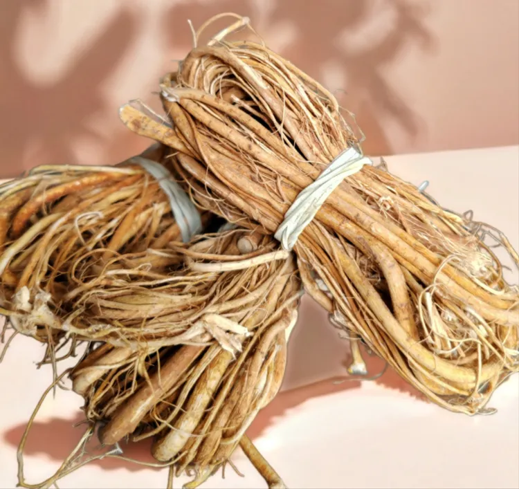 广西深山精选五指毛桃细根农家自然晾晒无硫煲汤材料