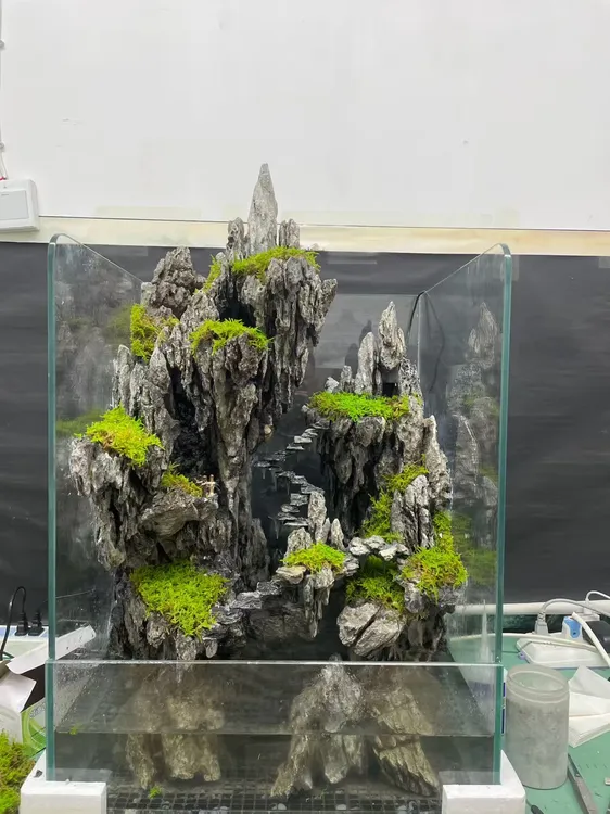 成品水陆景观出售尺寸45*45*60cm
