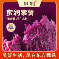 东方甄选自营蜜润紫薯皮薄细腻香甜软糯地瓜应季新鲜蔬菜坏果包赔