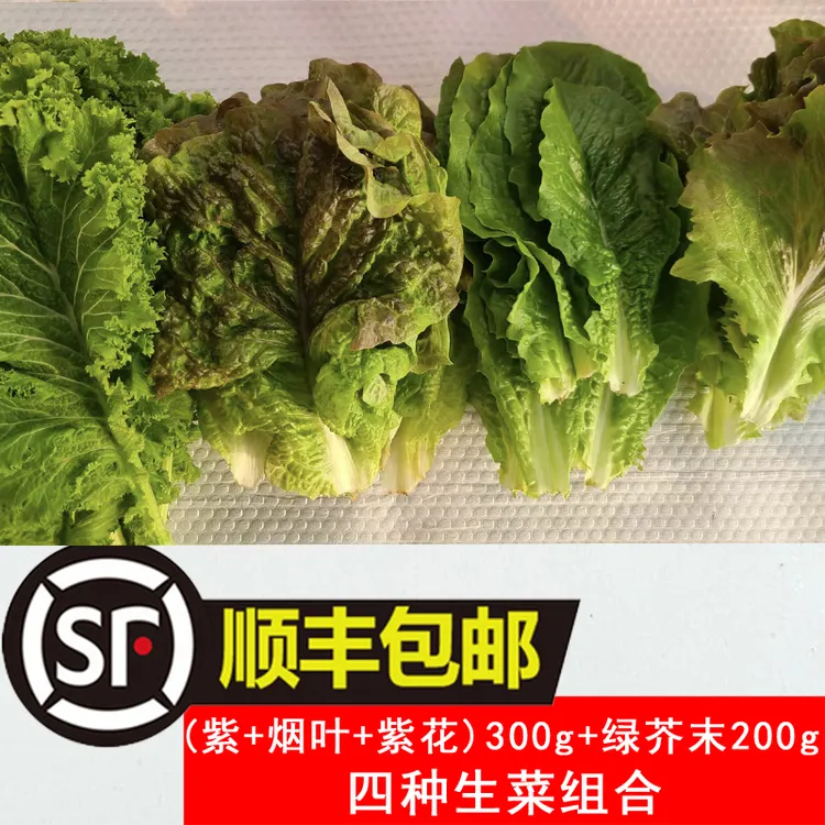 【顺丰包邮】韩式生菜绿芥末组合韩国烤肉包饭蘸酱烤肉店用新鲜