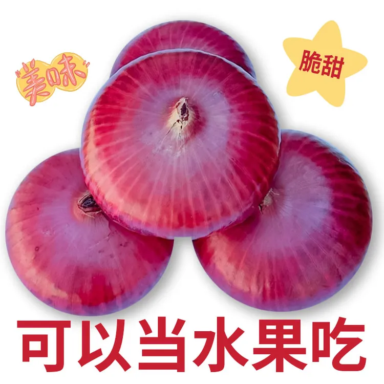新鲜现挖紫皮水果洋葱炒菜凉拌时令蔬菜脆嫩微辣可生吃